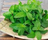 Домашние лекарства на основе перечной мяты: 6 рецептов Домашние лекарства на основе перечной мяты: 6 рецептов