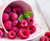 8 летних ягод, которые помогут быстро похудеть 8 летних ягод, которые помогут быстро похудеть