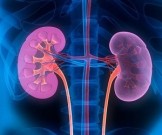 6 советов, которые позволят сохранить ваши почки здоровыми 6 советов, которые позволят сохранить ваши почки здоровыми