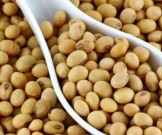 Названы самые полезные и самые опасные свойства бобовых