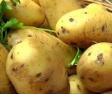 Назван доступный овощ, который защищает от рака Назван доступный овощ, который защищает от рака