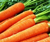 11 полезных свойств моркови, о которых вы могли не знать 11 полезных свойств моркови, о которых вы могли не знать