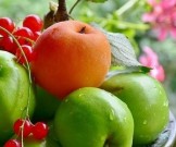 Сколько фруктов нужно есть каждый день?..