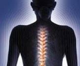 Как защитить свои кости и предотвратить остеопороз: 7 советов Как защитить свои кости и предотвратить остеопороз: 7 советов