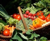 Вещества, выявленные в овощах, предотвращают развитие рака толстой кишки