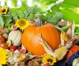 Великолепная пятерка осенних продуктов Великолепная пятерка осенних продуктов