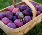 Эти вкусные фрукты защищают от старения и рака Эти вкусные фрукты защищают от старения и рака