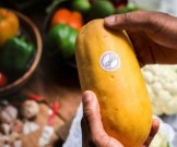 9 способов сэкономить на покупке продуктов 9 способов сэкономить на покупке продуктов