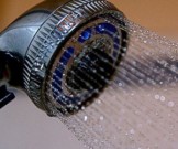 Душевые насадки распространяют опасные инфекции Душевые насадки распространяют опасные инфекции