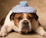 5 научных рецептов борьбы с похмельем