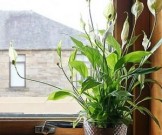 Пять предметов в доме, от которых лучше избавиться Пять предметов в доме, от которых лучше избавиться