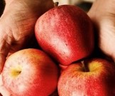 Полезные продукты против рака