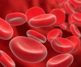 7 лучших продуктов для защиты от тромбов