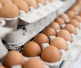 Белок против жира на животе: помогает ли это? Белок против жира на животе: помогает ли это?