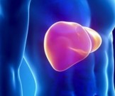 Болезни печени не преграда для ее пересадки Болезни печени не преграда для ее пересадки