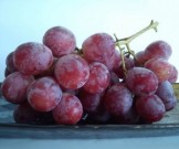 5 продуктов, которые содержат гормон молодости 5 продуктов, которые содержат гормон молодости