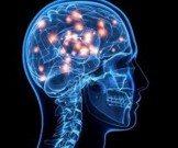 Сигареты и алкоголь разрушают мозг вместе сильнее, чем по отдельности