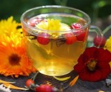 Лучшие растительные средства для избавления от гипертонии Лучшие растительные средства для избавления от гипертонии