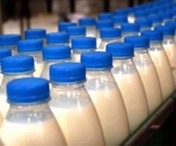 Как могут навредить молочные продукты? Как могут навредить молочные продукты?
