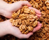 Врачи назвали три продукта, на которых не нужно экономить Врачи назвали три продукта, на которых не нужно экономить