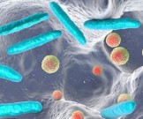 С раком кишечника связали 30 разных бактерий