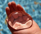 Талая вода для очищения и омоложения организма Талая вода для очищения и омоложения организма