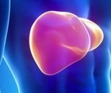 Частое употребление подсолнечного масла способствует заболеваниям печени