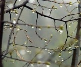 Как спастись от плохого самочувствия из-за перемены погоды
