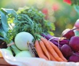 Эти продукты защищают от развития катаракты Эти продукты защищают от развития катаракты