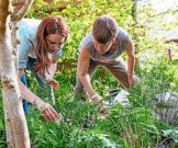 Два часа на природе в неделю намного укрепляют здоровье