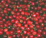 7 главных плюсов вишен для нашего здоровья 7 главных плюсов вишен для нашего здоровья