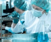 В организме обнаружена молекула, которая усиливает иммунную защиту от рака В организме обнаружена молекула, которая усиливает иммунную защиту от рака