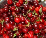 Врач-диетолог рассказала, как лучше есть вишню Врач-диетолог рассказала, как лучше есть вишню