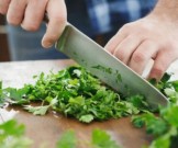 Употребление кинзы значительно улучшает состояние кишечной микрофлоры