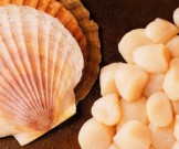 Морской гребешок: польза и вред Морской гребешок: польза и вред