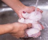 Ученые подтвердили: мыть сырое мясо перед готовкой опасно