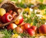 Питание осенью: наиболее полезные продукты
