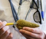 Продукты для восстановления поджелудочной железы