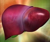 Ранние признаки того, что печень переполнена токсинами Ранние признаки того, что печень переполнена токсинами