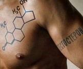 4 способа повысить тестостерон естественным путем 4 способа повысить тестостерон естественным путем