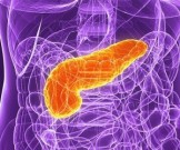 Самый опасный из всех видов рака: что губит поджелудочную железу