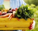 Популярные осенние детоксы Популярные осенние детоксы