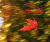5 простых способов не заболеть в холодную ветреную погоду