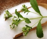 Растения, которые обладают сахароснижающим действием