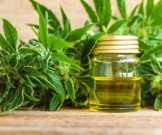 Конопляное масло может стать новым мощным антибактериальным средством Конопляное масло может стать новым мощным антибактериальным средством