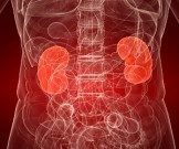 8 натуральных средств при воспалении почек