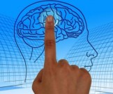 Ученые обнаружили вирус глупости Ученые обнаружили вирус глупости
