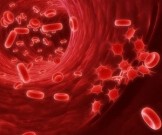 Как распознать нехватку гемоглобина и повысить его Как распознать нехватку гемоглобина и повысить его