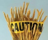 10 признаков, которые указывают на непереносимость глютена 10 признаков, которые указывают на непереносимость глютена