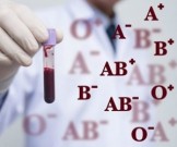 Как группа крови влияет на характер человека Как группа крови влияет на характер человека